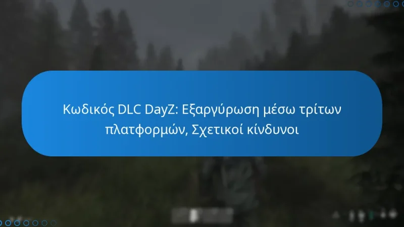 Κωδικός DLC DayZ: Εξαργύρωση μέσω τρίτων πλατφορμών, Σχετικοί κίνδυνοι
