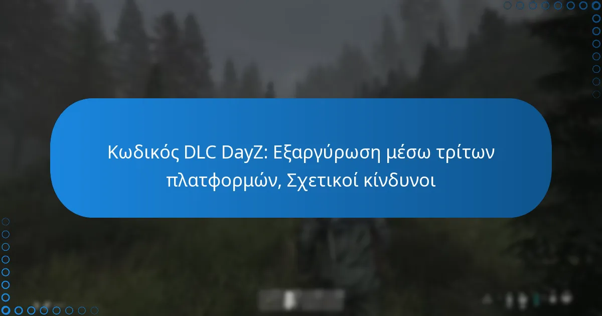 Κωδικός DLC DayZ: Εξαργύρωση μέσω τρίτων πλατφορμών, Σχετικοί κίνδυνοι